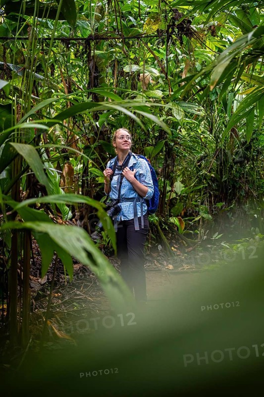 Tourist exploring rainforest, dense vegetation, Tortuguero National Park, Costa Rica