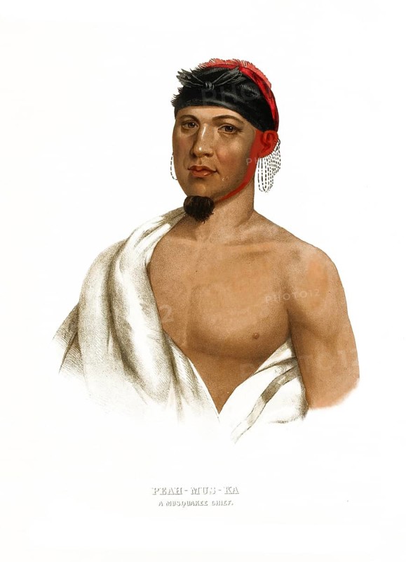 American Indian, Native American, Peah-Mus-Ka, Chief of the Musquake Tribe, United States of America, USA, Painting by Charles Bird King (1785, 1862), c. 1840, Historic, digitally restored reproduction from a 19th century original, Record date not stated
