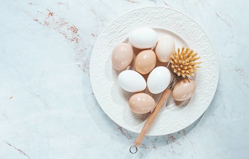 The concept of health care, the fight against salmaniasis, washed chicken eggs, on a white plate, next to a washing brush