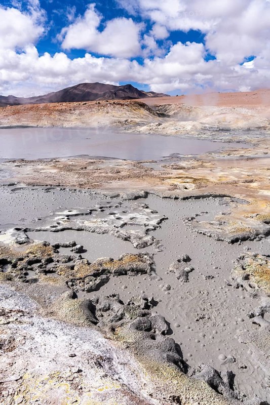 Andean Fauna National Reserve, Eduardo Avora, Altiplano, Bolivia