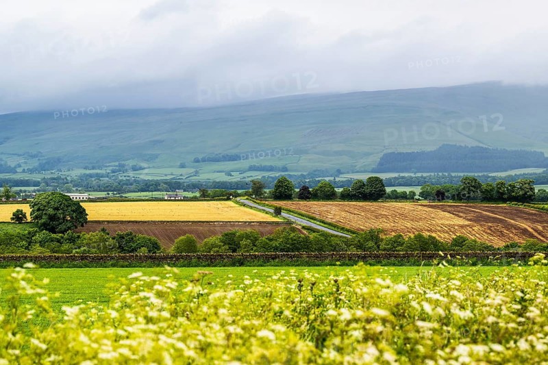 Farms and Fields over Hartside Pass, North Pennines, Cumbria, Durham, Northumberland, North Yorkshire, England, United Kingdom