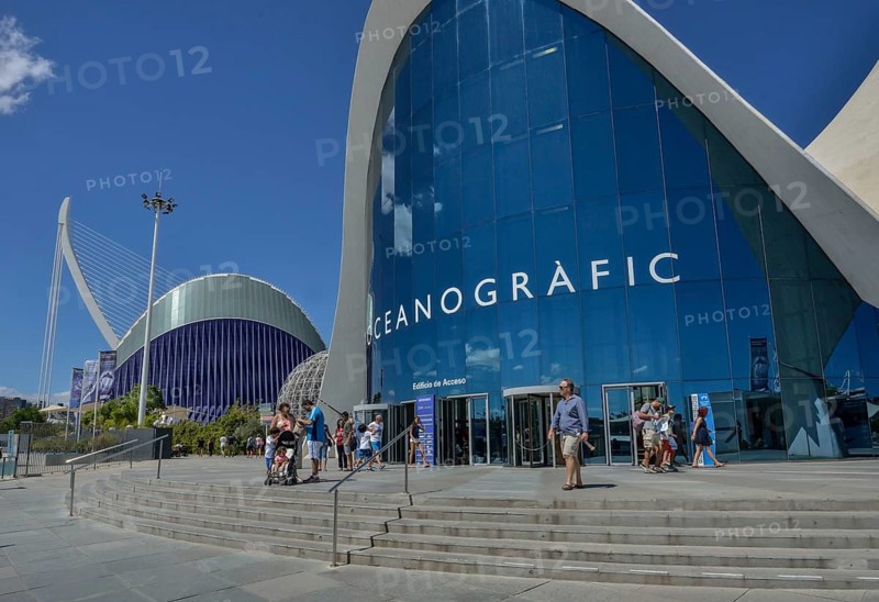 L'Oceanogràfic, Oceanarium, Ozeaneum, City of Arts and Sciences, Valencia, Spain