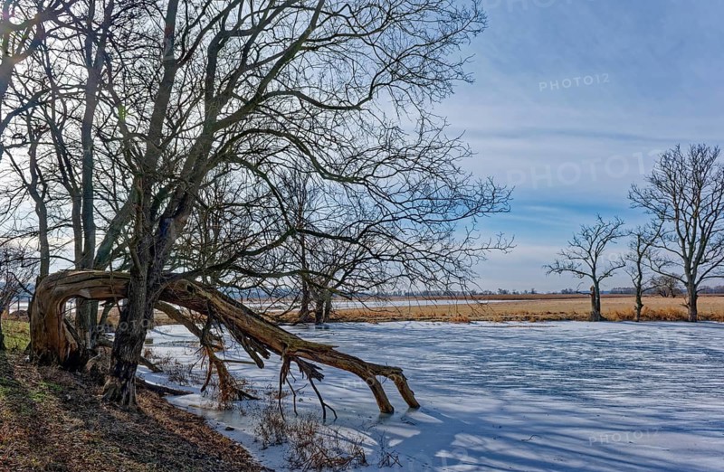 Ice and snow-covered foothills of the Oder in the area of the Schwedt lock in the Lower Oder Valley National Park. aerial view. Schwedt, Uckermark, Brandenburg, Germany