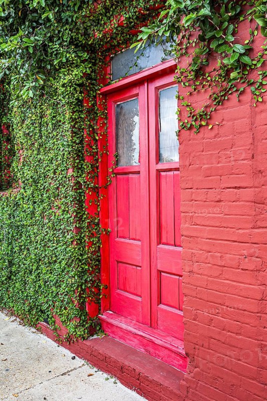 Ivy covered bright red brick wall with bright red door in downtown Green Cove Springs, Florida, USA