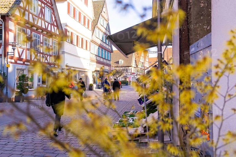 Lively street view with half-timbered houses and flowering plants in the foreground, Calw in spring, Black Forest, Germany
