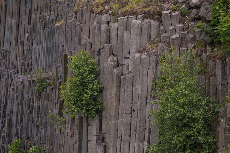Panska skala, (Mansion/Manor Rock) also called the Varhany (Organ) is an unobtrusive hillock close to Prachen, Bohemia, Czech Republic