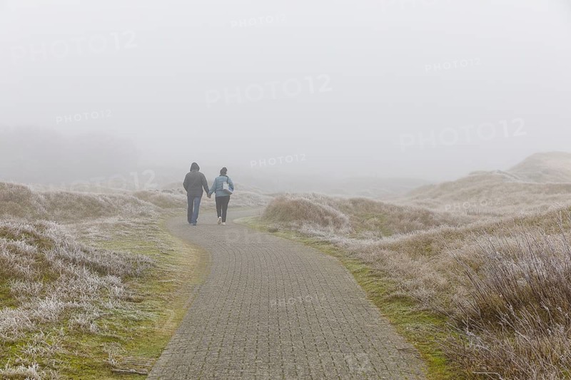Hiking trail through the dune landscape in the fog on Norderney, Lower Saxony, Germany