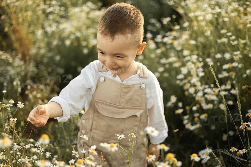 A joyful toddler in beige overalls explores a beautiful daisy field. Sunlight highlights the scene, capturing the innocence and wonder of childhood in nature