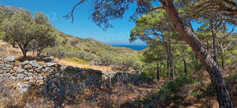 Stone wall in a hilly landscape on the hiking trail from Avlona to Diafani with a view of the sea, Avlona, Diafani, Karpathos, Greece