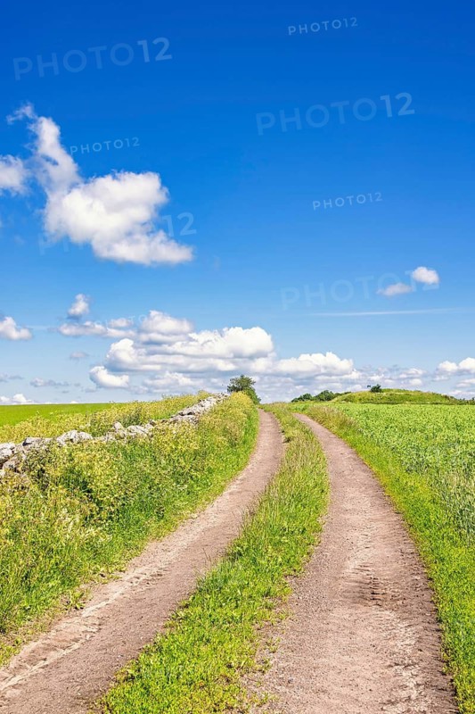 Farm road on a field by a stone wall with green grass a sunny summer day with a blue sky and white clouds in the countryside