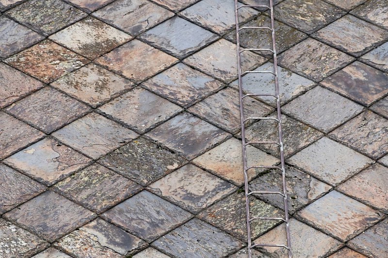 Roof with diamond-shaped slate tiles and an iron ladder, Gudbrandsdalen, Norway