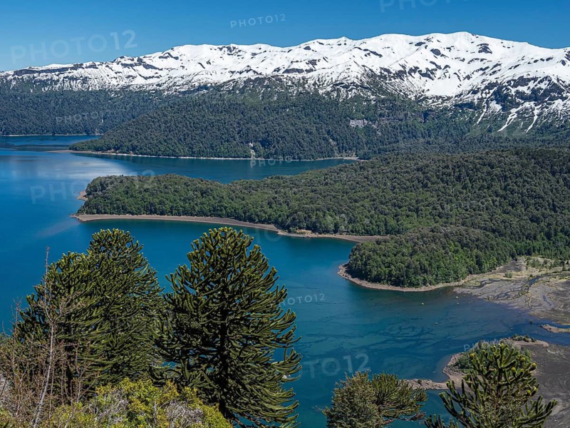 Viewpoint at the Sierra Nevada trail, lake Conguillio, araucaria forest, Conguillio National Park, Chile