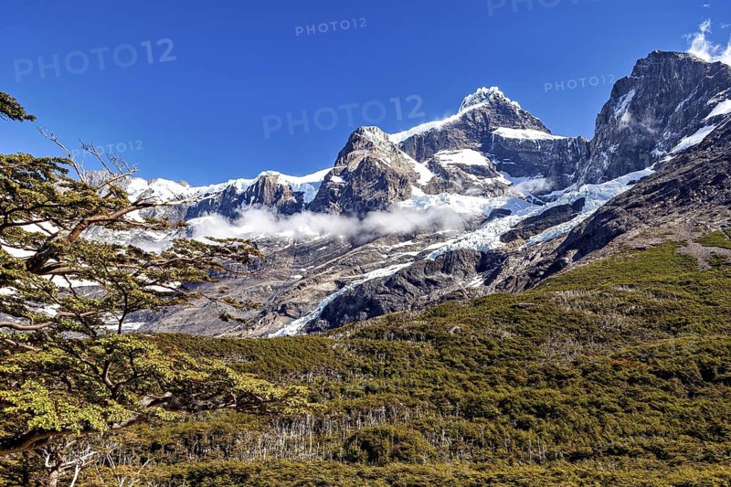 Snow-covered mountain peaks above green forest slopes under a blue sky, the landscape of Torres del Paine National Park in Patagonia, Chile
