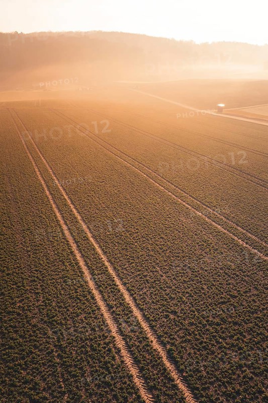 Large fields in fog and morning sun with uniform lines, Gechingen, Calw district, Germany