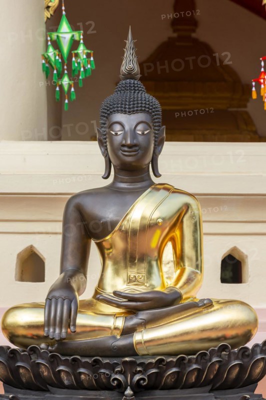 Buddha statue, Bhumispara-mudra, Buddha Gautama at the moment of enlightenment, Wat Ong Teu, Vientiane, Laos