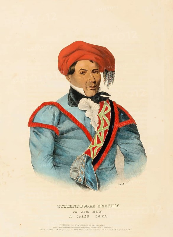 Tustennuggee Emathla (1836), Native American, Historical Native American tribes from North America, Charles Bird King (1785, 1862), Historical, digitally restored reproduction from a 19th century original, Record date not stated