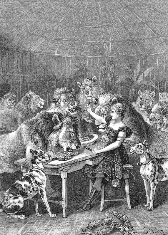 Circus tamer with lions and dogs in a cage, feeding, Historic, digitally restored reproduction from a 19th century original, c. 1890, Record date not stated