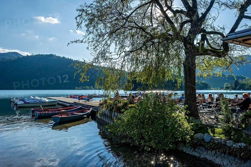 Boats at jetty, boat hire and beer garden, shore of Schliersee, bright backlight, Markt Schliersee, Upper Bavaria, Bavaria, Germany