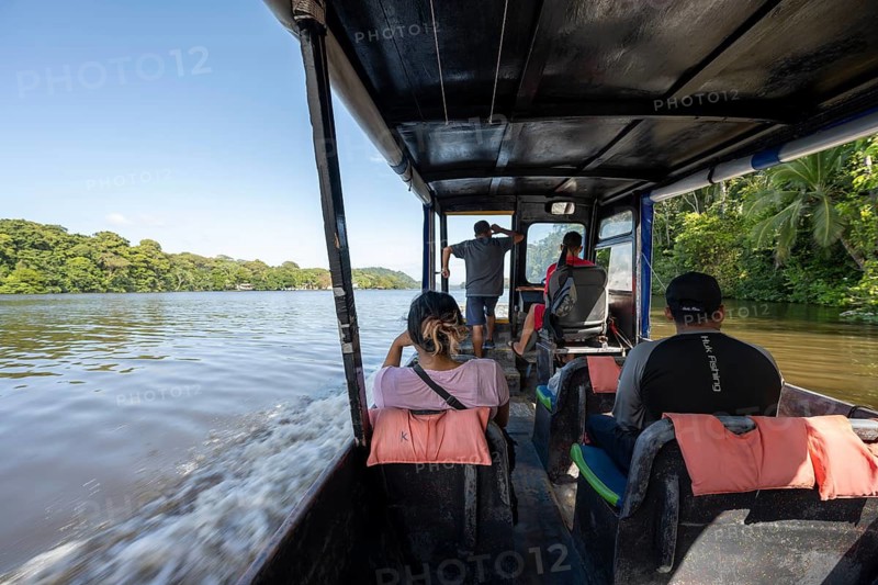 Tourists on a boat, Rio Suerte river in the rainforest, dense vegetation, Tortuguero National Park, Costa Rica