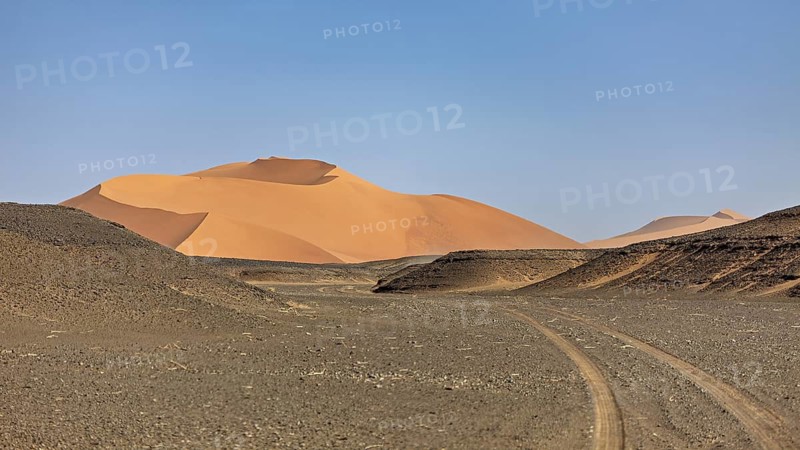 Vast desert landscape with sand dunes and tracks under a clear sky, The endless sand dunes of the Sahara in Algeria