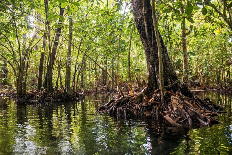 Lagoon, Klong Rud, Klong Nam Sai, Ao Nang, Krabi, Thailand