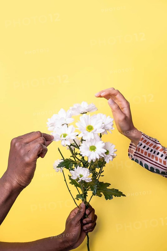 A close-up image shows a diverse pair of hands delicately holding a bunch of white flowers against a bright yellow background, symbolizing unity and diversity