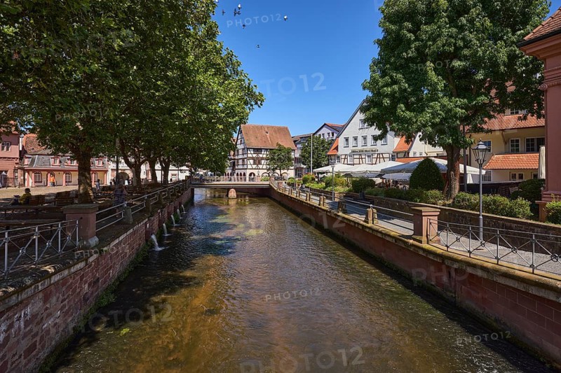 River Mümling, general development, car and pedestrian bridge, trees, metal railings, blue cloudless sky, Neue Lustgartenstraße, market square, Erbach, Odenwald, Odenwaldkreis, Hesse, Germany