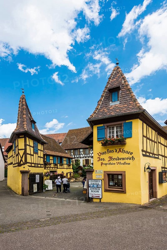Medieval village and colourful half-timbered houses, Eguisheim, Plus beaux villages de France, Haut-Rhin, Alsace, Alsace, France