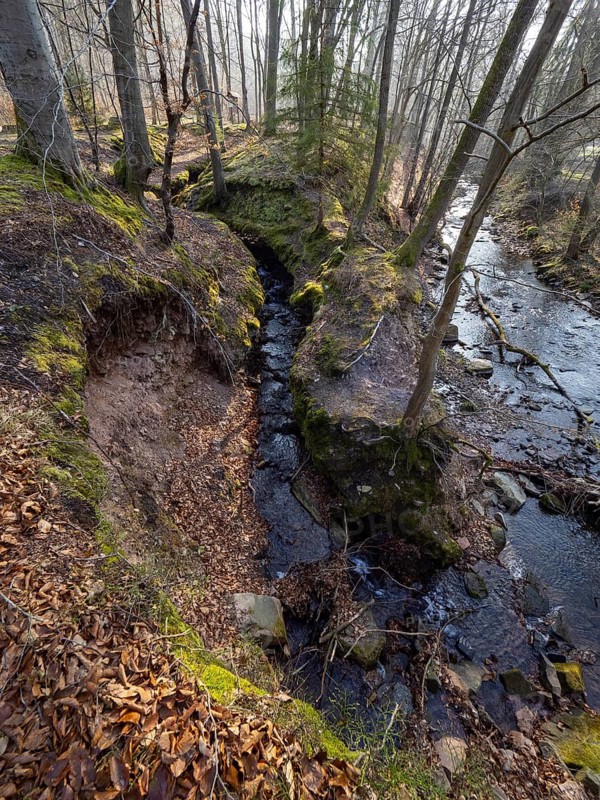 Landscape view of a stream flowing into the Nieme river, surrounded by woodland, in late winter, Bramwald, Lower Saxony, Germany