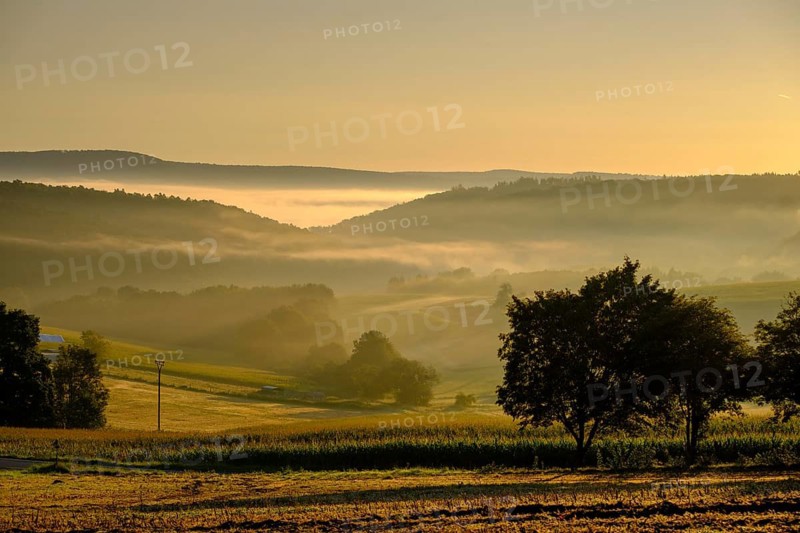 Morning fog over the Werra valley, Weißenborn near Eschwege, Werra-Meißner district, Werra valley, North Hesse, Hesse, Germany