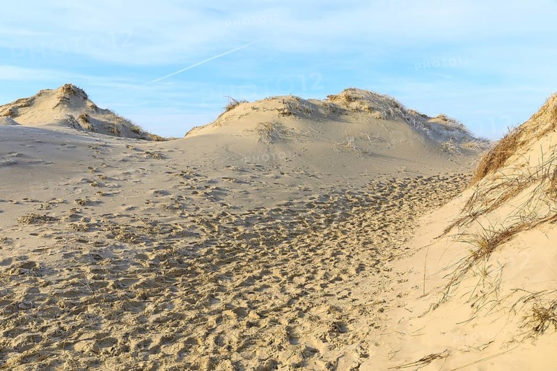 Hiking trail through the dunes of Norderney, Lower Saxony, Germany