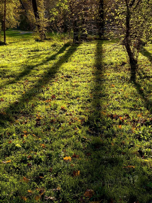 Autumn atmosphere in the English Garden, Munich, Bavaria, Germany
