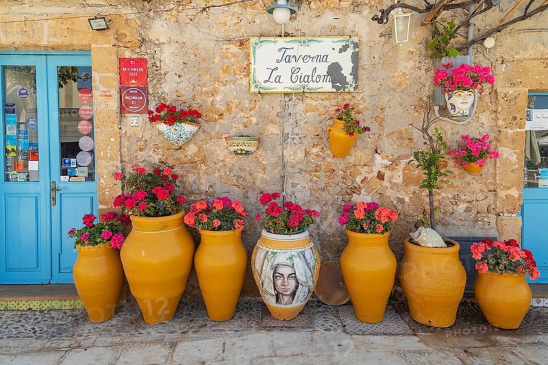 Flowers pots, Marzamemi, Noto Valley, Sicily, Italy