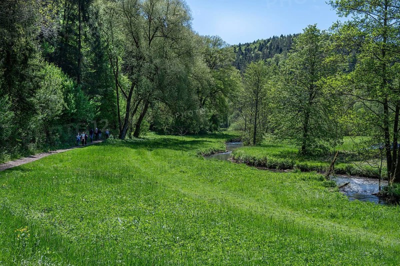 Spring landscape in the Auseß valley, on the right the river Auseß, Doos, Upper Franconia, Bavaria, Germany