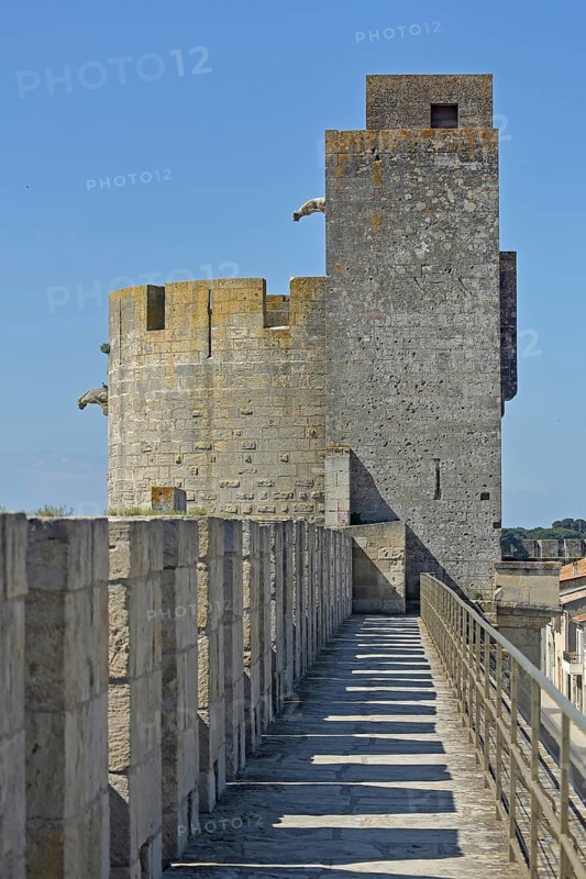 Battlements with Porte de la Reine, historic town fortifications, town wall with battlements, town defence tower, town gate, defence tower, gargoyle, Aigues-Mortes, Gard, Camargue, Provence, France