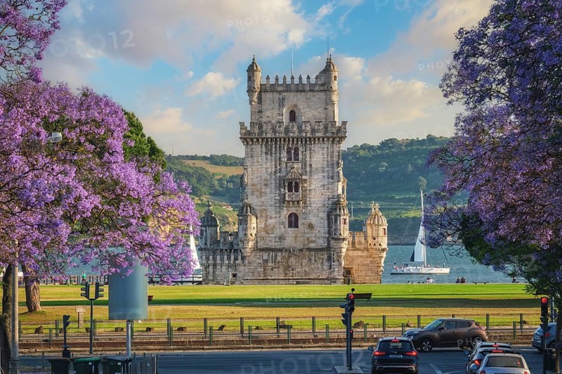 View of Belem Tower surrounded by beautiful purple jacaranda flowers on the Tagus River during sunset in Lisbon. Belem, Lisbon, Portugal
