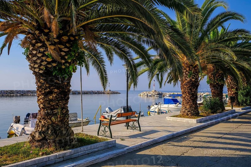 Skala Sotira, Thassos, Greece - Palm trees on the harbour promenade of the small fishing village of Skala Sotira. Thassos belongs to Eastern Macedonia and Thrace, also East Macedonia and Thrace