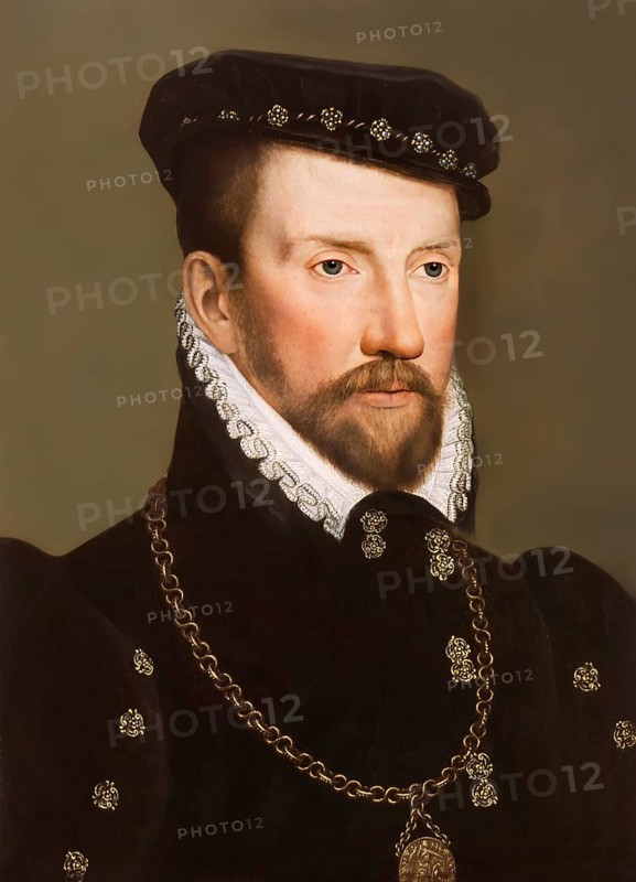 Gaspard II de Coligny, Comte de Coligny, 1519, 1572, a French Huguenot leader, digitally edited according to a painting by François Dubois