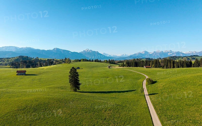 Long path winds through green fields with mountain views under a bright sky, Alps, near Füssen, Ostallgäu, Allgäu, Bavaria, Germany