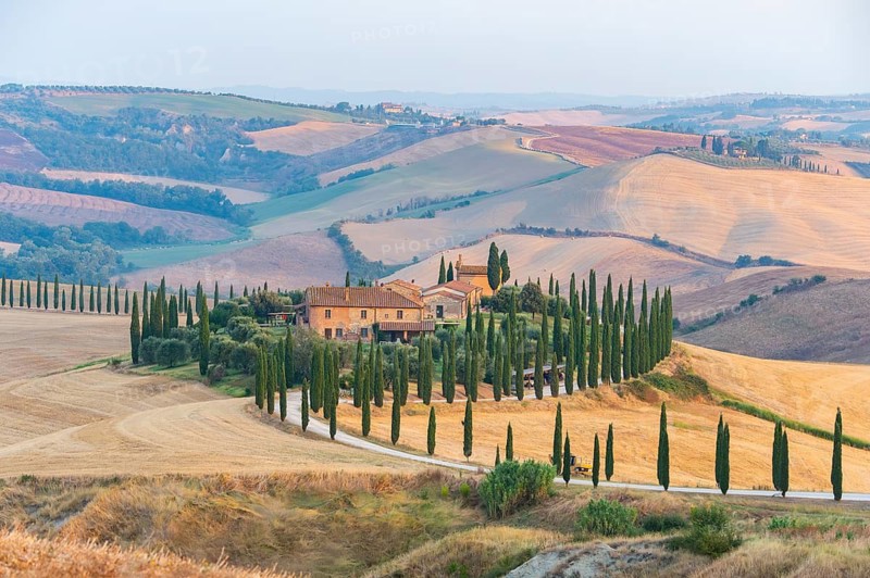 Typical Tuscan landscape in Crete Senesi with hills, trees, fields, cypresses and farm road in autumn, sunrise, Agriturismo Baccoleno, UNESCO World Heritage Site, Siena Province, Tuscany, Italy
