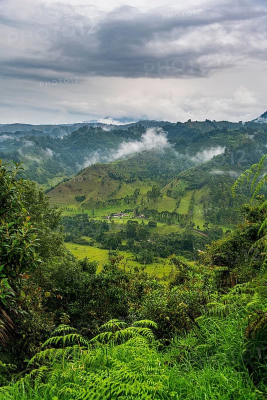 Overlook over the Valle de Cocora, Unesco site coffee cultural landscape, Salento, Colombia