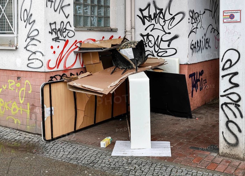Bulky waste at a house, illegal waste disposal in the Berlin district of Wedding, 15.02.2024
