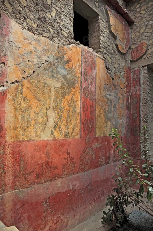 Villa of Poppea, remains of the fresco decoration. Historic town of Oplontis, Torre Annunziata, Campania, Italy