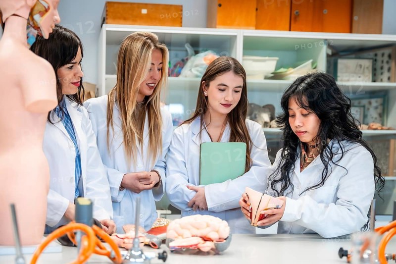 Group of focused medical students examining anatomical model during anatomy class in university lab