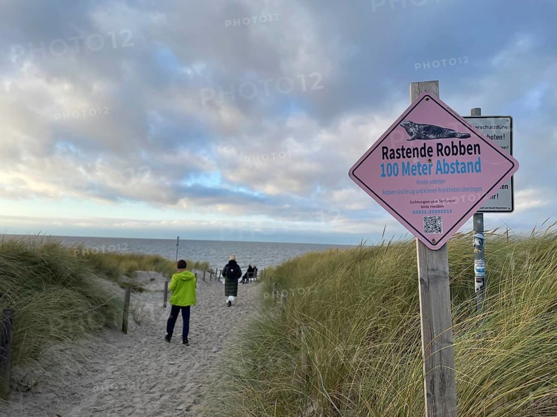 Resting seals, sign, beach, Darss-Zingster Bodden chain, Baltic Sea, peninsula, nature, autumn, nature reserve, Fischland-Darß-Zingst, Mecklenburg-Western Pomerania, Germany
