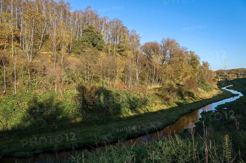 Bottrop, North Rhine-Westphalia, Germany - Renaturalised Boye in autumn, the tributary of the Emscher, was transformed into a near-natural watercourse, flood protection through newly designed flooding areas, the Boye is now free of wastewater after the construction of a parallel sewer, is part of the Emscher river system and thus part of the Emscher conversion, was previously an open, above-ground wastewater channel, mixed water channel with surface water and wastewater