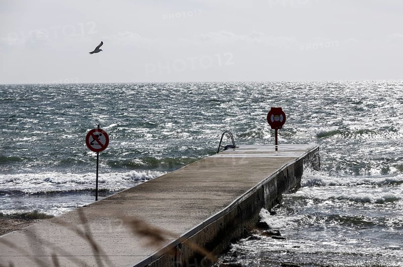 A seagull flies in stormy weather on the beach of the island of Fehmarn, 05.04.2026, Fehmarn, Schleswig-Holstein, Germany