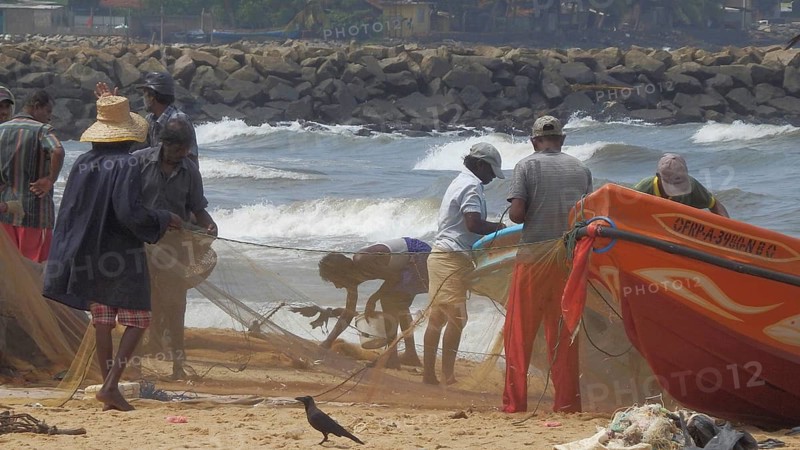 Fishermen on the beach pull in nets with the ocean in the background, Sri Lanka