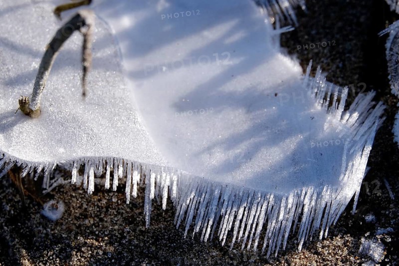 Ice on the banks of the Elbe, Winter, Dresden, Saxony, Germany