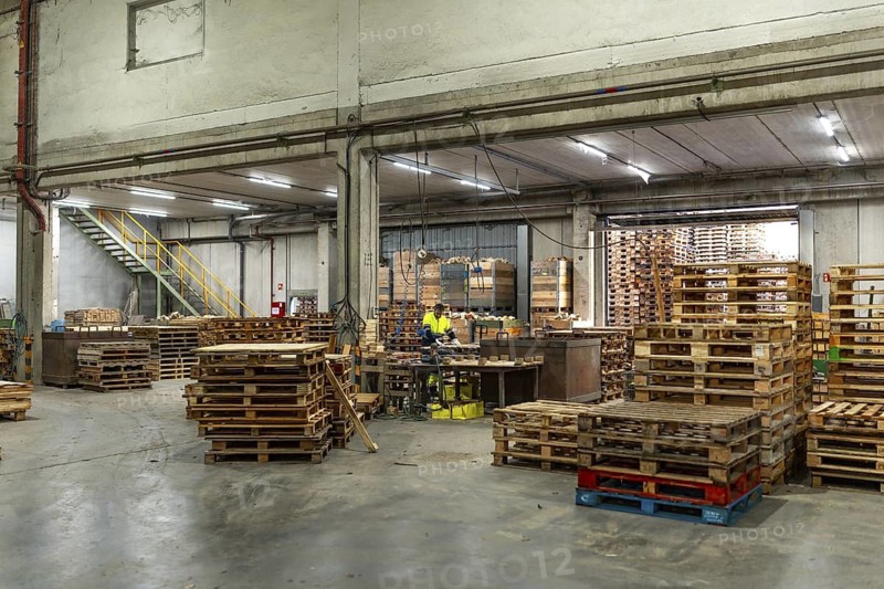 Full length photo with copy space of a man working in a pallet recycling plant